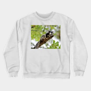 Fox Squirrel Crewneck Sweatshirt